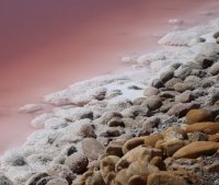 Aigues-Mortes - R&eacute;colte de la fleur de sel 