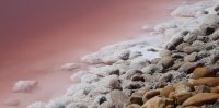Aigues-Mortes - R&eacute;colte de la fleur de sel 