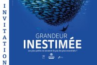 Inauguration de l'exposition « Grandeur Inestimée » et la conférence de Tarek Hattab