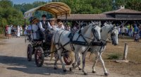 Les calèches d'Elodie 4