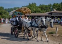 Les calèches d'Elodie 4