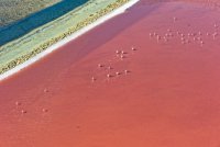 Visite aux salins d'Aigues-Mortes 4