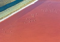 Aigues-Mortes - Salins