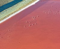 Aigues-Mortes - Salins