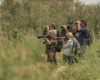 Passion Nature Camargue