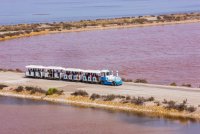 Visite aux salins d'Aigues-Mortes