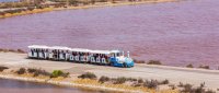 Visite aux salins d'Aigues-Mortes