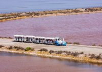 Visite aux salins d'Aigues-Mortes