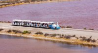 Aigues-Mortes - Petit train aux Salins