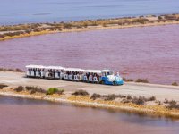 Aigues-Mortes - Petit train aux Salins