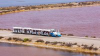 Aigues-Mortes - Petit train aux Salins