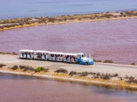 Aigues-Mortes - Petit train aux Salins