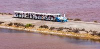 Aigues-Mortes - Petit train aux Salins