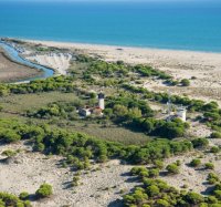 Plage de l'Espiguette