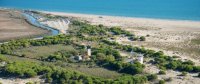 Plage de l'Espiguette