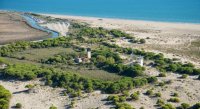 Plage de l'Espiguette