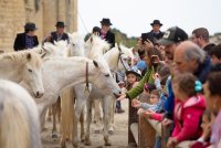 Aigues-Mortes - Printemps en Camargue
