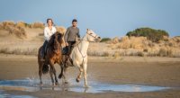 cheval balade plage