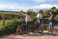 safari vélo électrique Camargue Découverte