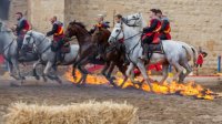 Aigues-Mortes - Fête de la Saint Louis