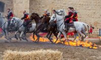 Aigues-Mortes - Fête de la Saint Louis