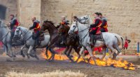 Aigues-Mortes - Fête de la Saint Louis