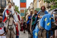 Aigues-Mortes - F&ecirc;te de la Saint Louis