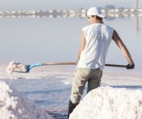 Aigues-Mortes - R&eacute;colte de la fleur de sel