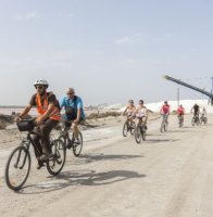 Aigues-Mortes - Balade &agrave; v&eacute;lo aux Salins