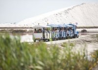 Aigues-Mortes - Petit train aux Salins