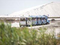 Aigues-Mortes - Petit train aux Salins