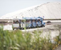 Aigues-Mortes - Petit train aux Salins