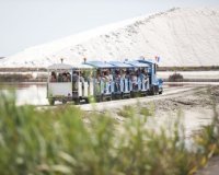 Aigues-Mortes - Petit train aux Salins