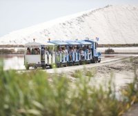 Aigues-Mortes - Petit train aux Salins