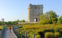 tour carbonniere marais sentier