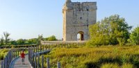 tour carbonniere marais sentier