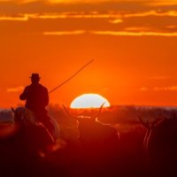 Veillée Camarguaise - Manade Saint Louis 2