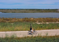 Homme vélo étang nature 