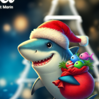 Vacances de Noël au Seaquarium