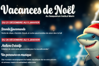 Vacances de Noël au Seaquarium