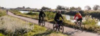 Via Rhôna : Aigues-Mortes Gallician, cycliste canal