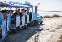 J'ai testé la balade en petit train des salins d'Aigues-Mortes